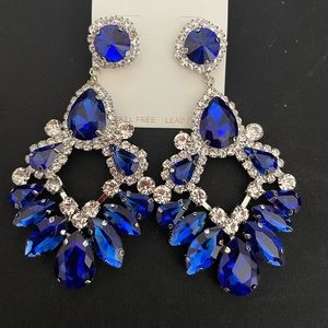 Blue & clear rhinestone earrings